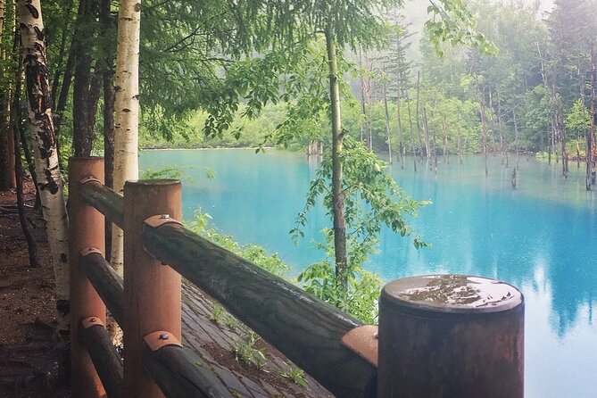Private Day Trip to Asahiyama Zoo and Biei Blue Pond - What to Expect on the Tour