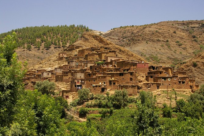 Private Day Trip To Atlas Mountains (Berber Trails) - Verified Customer Reviews