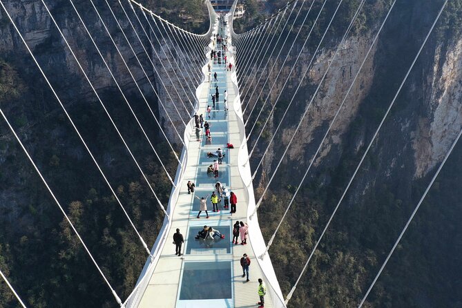 Private Day Trip to Avatar Mountain & Glass Bridge With Lunch - Exploring Avatar Mountain
