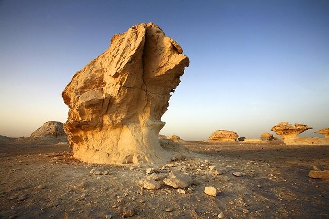 Private Day Trip to Bahariya Oasis With Black Sahara From Cairo - Itinerary