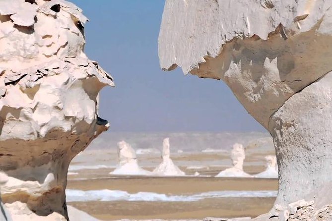 Private Day Trip to Bahariya Oasis With Black Sahara From Cairo - Traveler Feedback