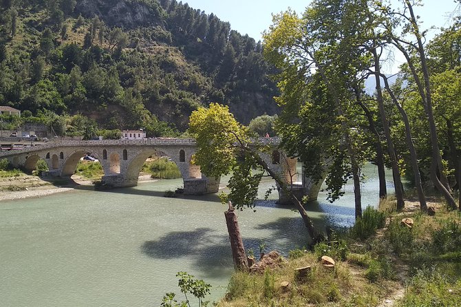Private Day Trip to Berat From Tirana or Durres - Pricing and Reviews