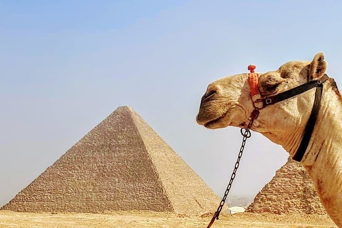 Private Day Trip to Cairo From Hurghada - Exclusion Considerations