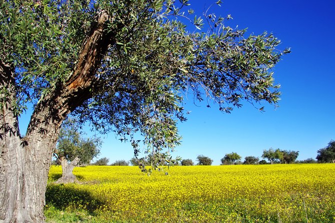 Private Day Trip to Canal,Ancient Corinth,Myceane and Nauplion - Booking Assistance