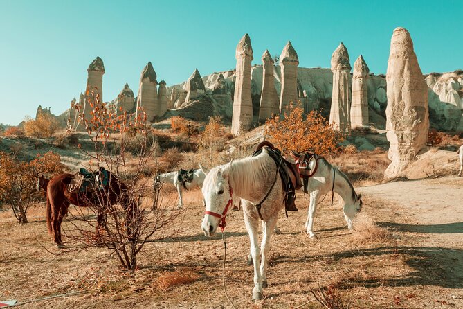 Private Day Trip to Cappadocia From Istanbul - Inclusions and Exclusions