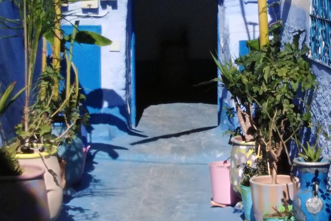 Private Day Trip to Chefchaouen From Fez - Cancellation and Refund Policy