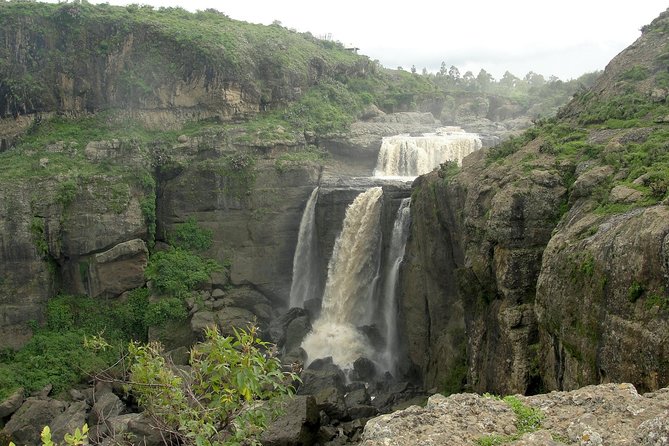 Private Day Trip to Debre Libanos Portuguese Bridge Galada Baboon - Group Size and Accessibility
