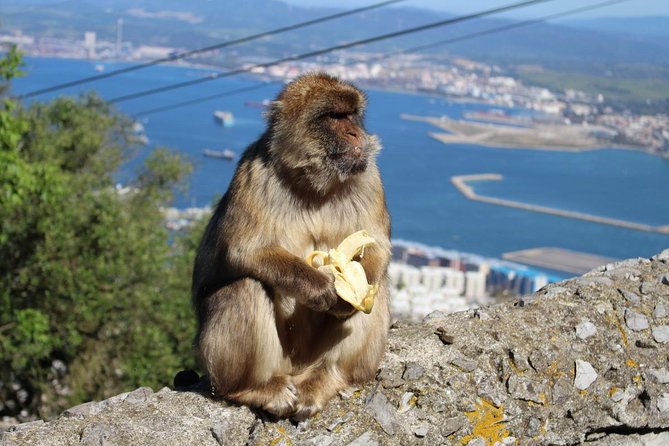 Private Day Trip to Gibraltar From Malaga or Marbella - Booking and Reservation Process