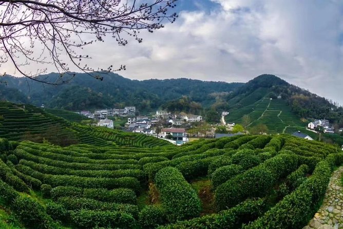 Private Day Trip to Hangzhou From Shanghai by Bullet Train - Included Activities and Costs