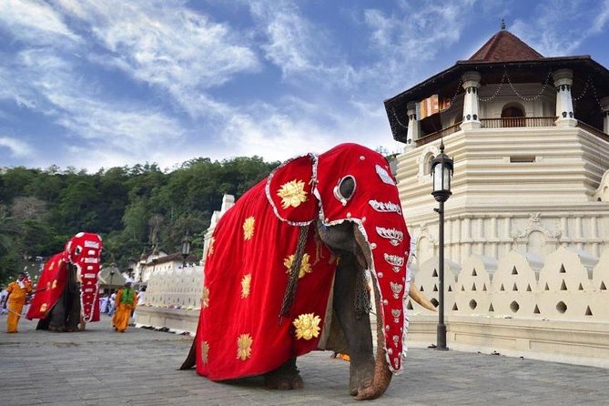 Private Day Trip To Highlights in Kandy. - Visitor Reviews