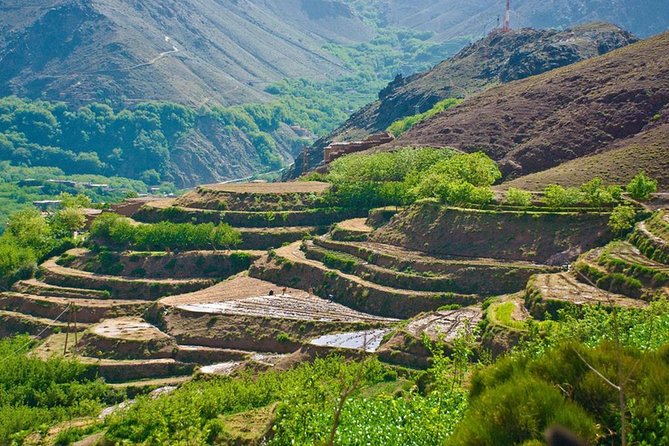 Private : Day Trip to Imlil Atlas Mountains From Marrakech - Meeting and Pickup
