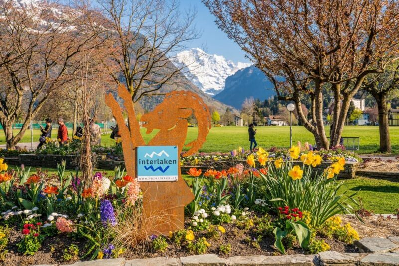 Private Day-Trip to Interlaken, Grindelwald & Lauterbrunnen - Key Points
