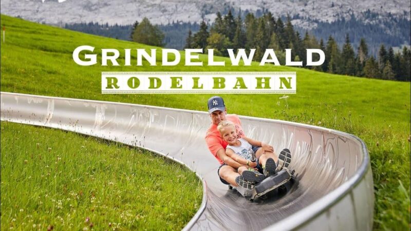 Private Day-Trip to Interlaken, Grindelwald & Lauterbrunnen - Scenic Experience and Highlights