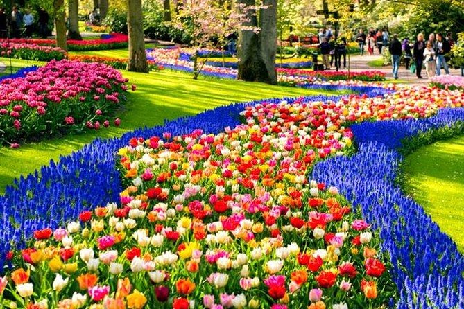 Private Day-trip to Keukenhof Gardens: Millions of Flowers in Bloom - Private Transportation and Amenities