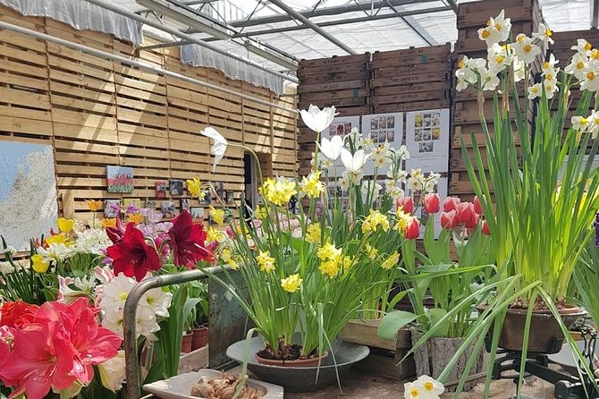 Private Day-trip to Keukenhof Gardens: Millions of Flowers in Bloom - Customer Feedback and Host Response