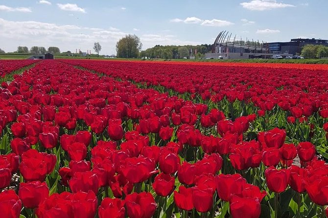 Private Day-trip to Keukenhof Gardens: Millions of Flowers in Bloom - Worth The Stay