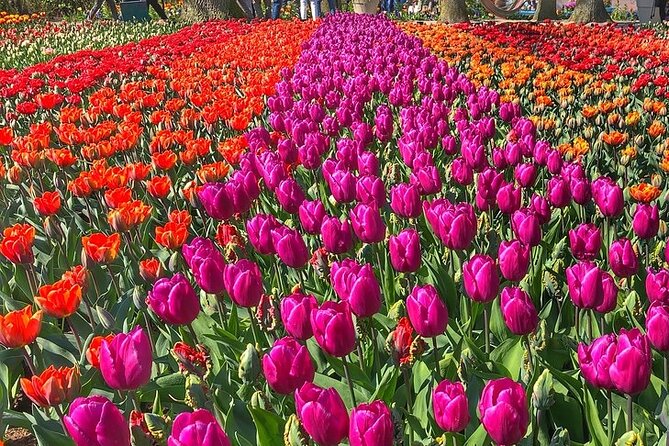 Private Day Trip to Keukenhof Gardens With Entrance Tickets - Explore Keukenhof Gardens