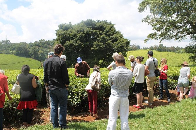 Private Day Trip to Kiambethu Tea Farm in Limuru From Nairobi - Tour of the Tea Plantation