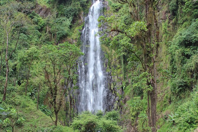 Private Day Trip to Materuni Waterfall and Coffee Tour - Key Points