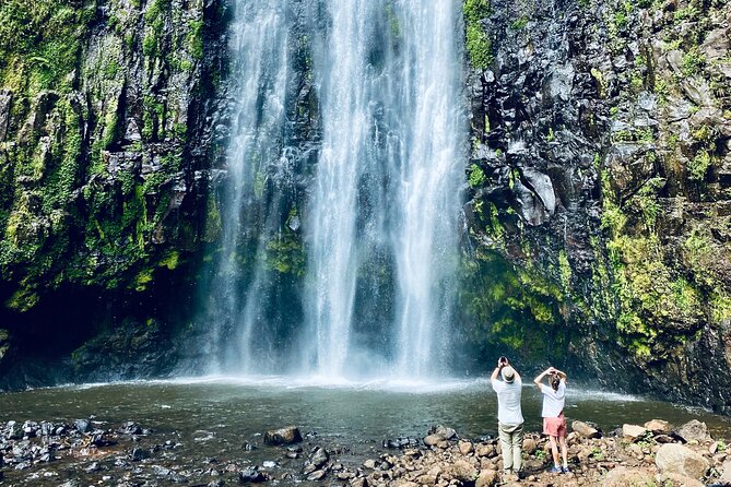 Private Day Trip to Materuni Waterfall and Coffee Tour - Inclusions