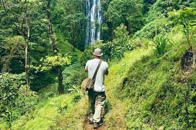 Private Day Trip to Materuni Waterfall and Coffee Tour - Pickup and Schedule