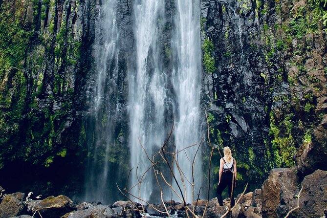 Private Day Trip to Materuni Waterfall and Coffee Tour - Coffee Tour