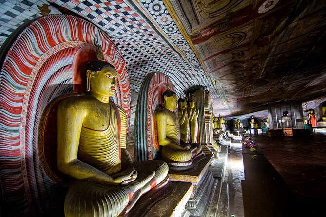 Private Day Trip To Minneriya Sigiriya and Dambulla From Kandy - Ayurvedic Herbal and Spice Garden