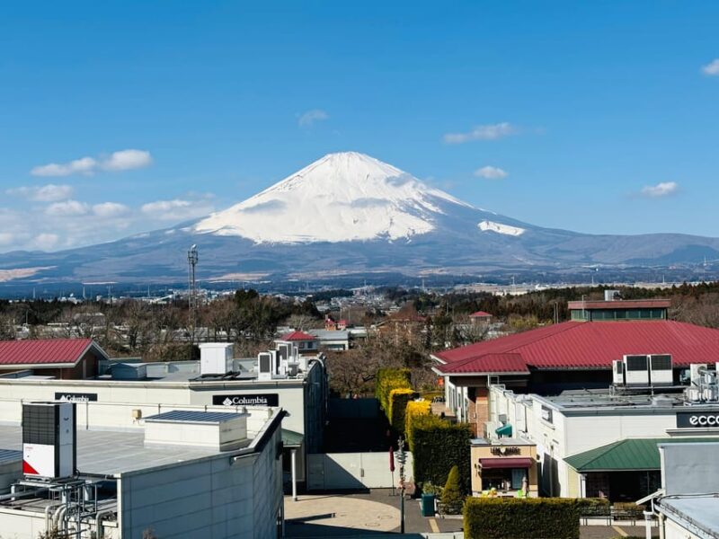 Private Day Trip to Mt. Fuji, Hakone, and Premium Outlets - Aerial Views of Owakudani Valley