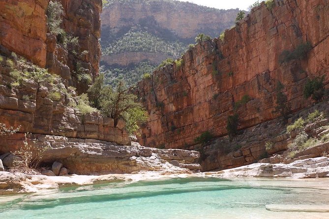 Private Day Trip to Paradise Valley From Marrakech ALL INCLUSIVE - Booking Process