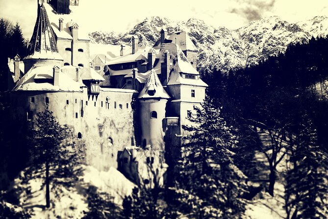 Private Day Trip to Peles and Bran From Bucharest - Pricing and Reviews
