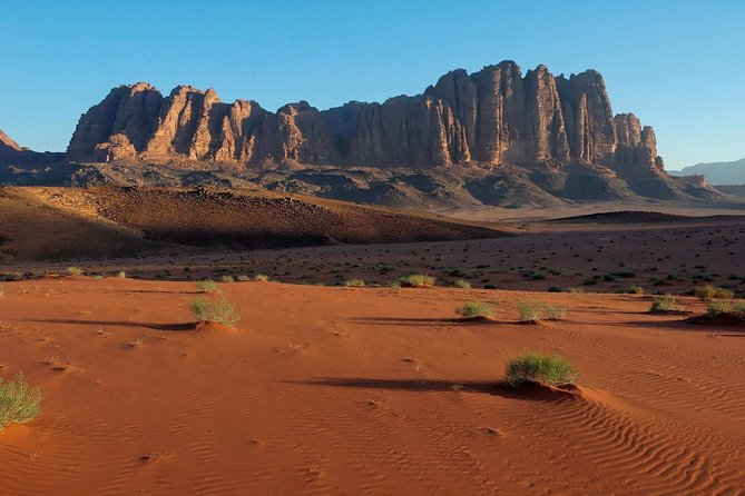 Private Day Trip to Petra and Wadi Rum With Lunch From Aqaba City - Reviews and Ratings