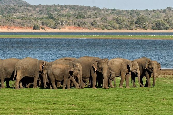 Private Day Trip to Pidurangala Rock & Jeep Safari From Colombo - Preparing for the Day Trip
