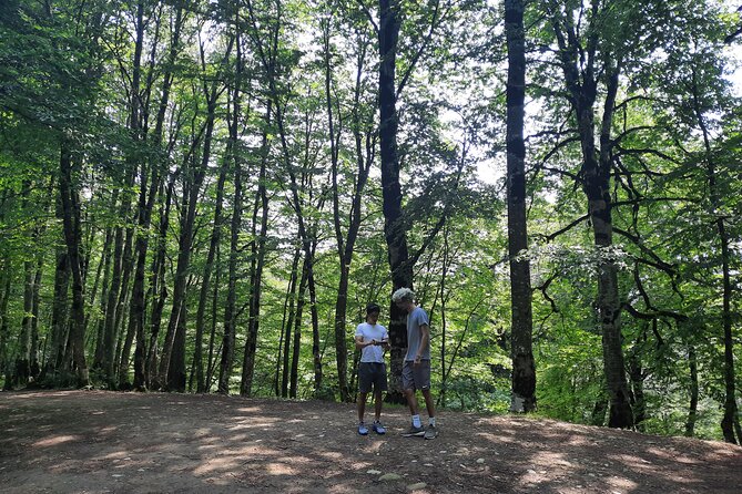 Private Day Trip to Sabaduri Forest - Included Experiences