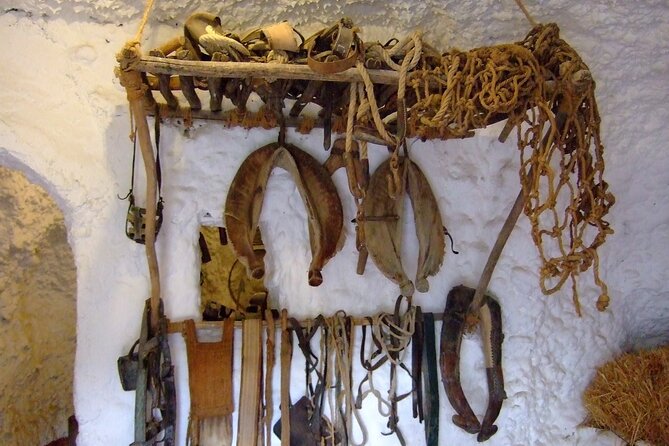 Private Day Trip to Sacromonte Caves From Granada With a Local - Private Transportation to Granada