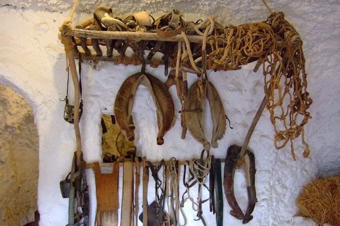 Private Day Trip to Sacromonte Caves From Granada With a Local - Taste Local Snacks and Drinks