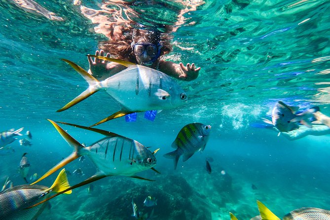 Private Day Trip to San José & Cabo San Lucas - Cultural Experiences and Tasting