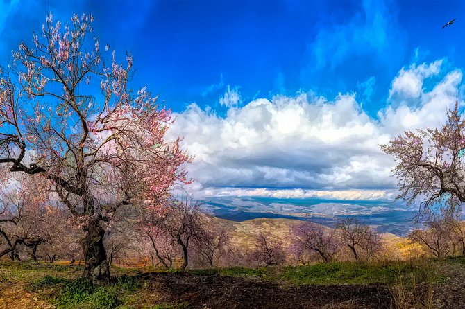 Private Day Trip to Sierra Nevada From Granada With a Local - Meeting and Pickup