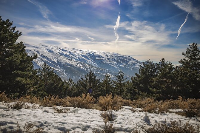 Private Day Trip to Sierra Nevada From Granada With a Local - Inclusions