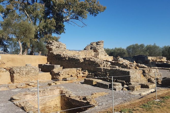 Private Day Trip to Sparta From Kalamata (Price per Group) - Explore Ancient Sparta