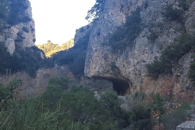 Private Day Trip to Sparta From Kalamata (Price per Group) - Savor Mediterranean Cuisine