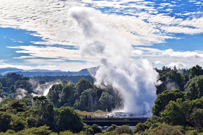 Private Day Trip To Te Puia Rotorua - Exploring Rotorua and Māori Culture