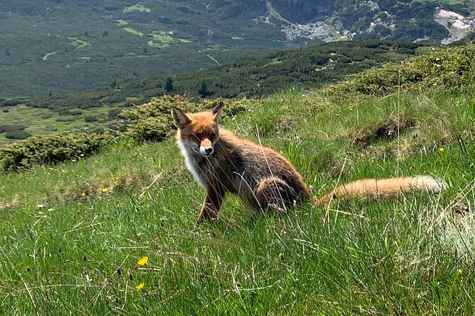 Private Day Trip to the 7 Rila Lakes With Hiking and SPA - Tour Expectations