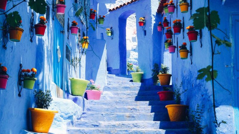 Private Day Trip to the Blue City of Chefchaouen - Transportation and Accommodation