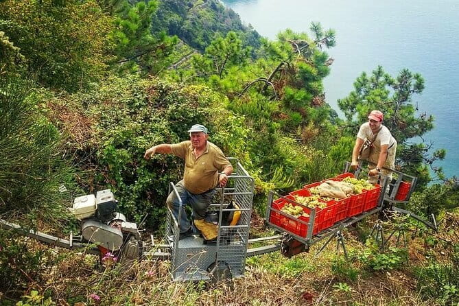 Private Day Trip to the Cinque Terre From Florence - Booking and Logistics