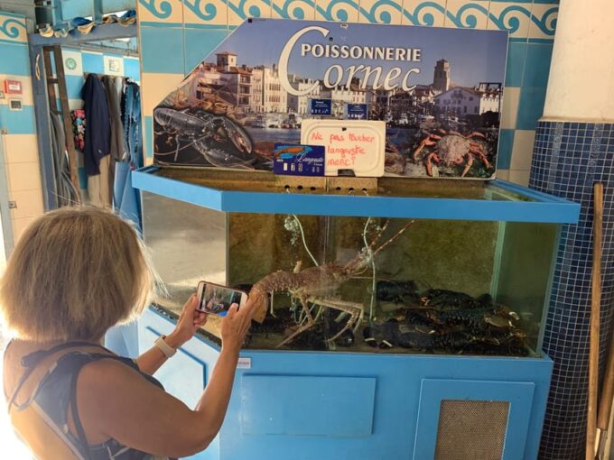 Private Day Trip to the French Basque Country - Tour Inclusions