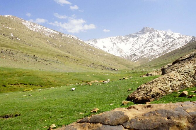 Private Day Trip to the High Atlas Mountains From Marrakech - Tour Duration and Schedule