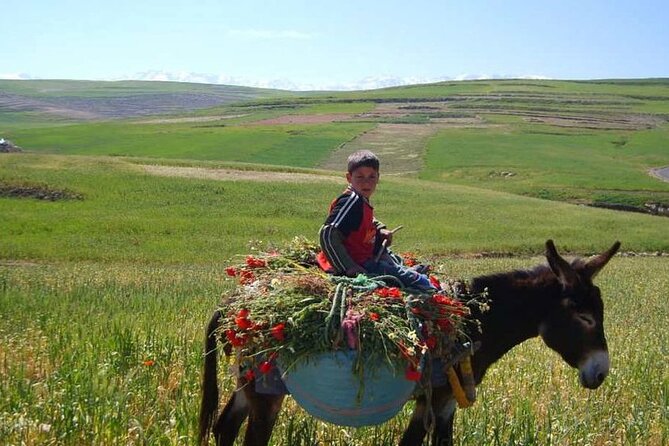 Private Day Trip to the High Atlas Mountains From Marrakech - Highlights and Experiences