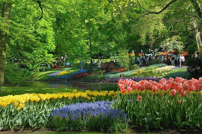 Private Day Trip to the Keukenhof Gardens and Zaanse Schans - Inclusions