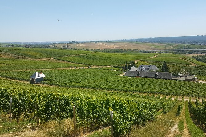 Private Day Trip to the Romantic Rhine Valley With River Cruise and Wine Tasting - Birthplace of Riesling at Schloss Johannisberg