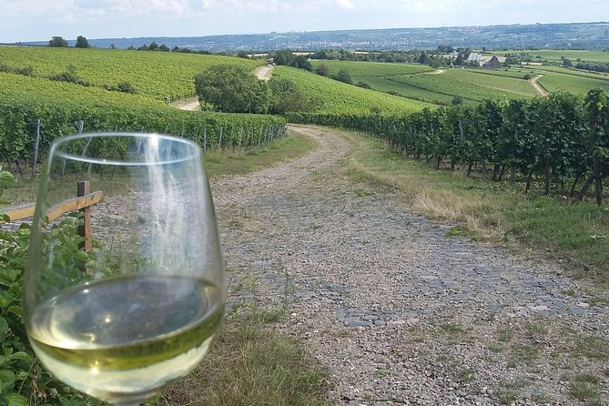 Private Day Trip to the Romantic Rhine Valley With River Cruise and Wine Tasting - Exploring Rheinfels Castle and Rüdesheim